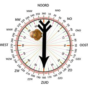 Windrichting