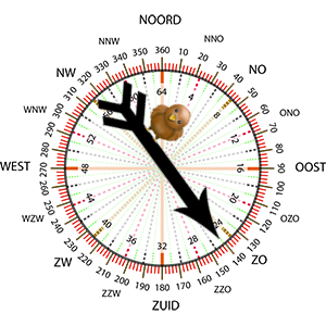 Windrichting